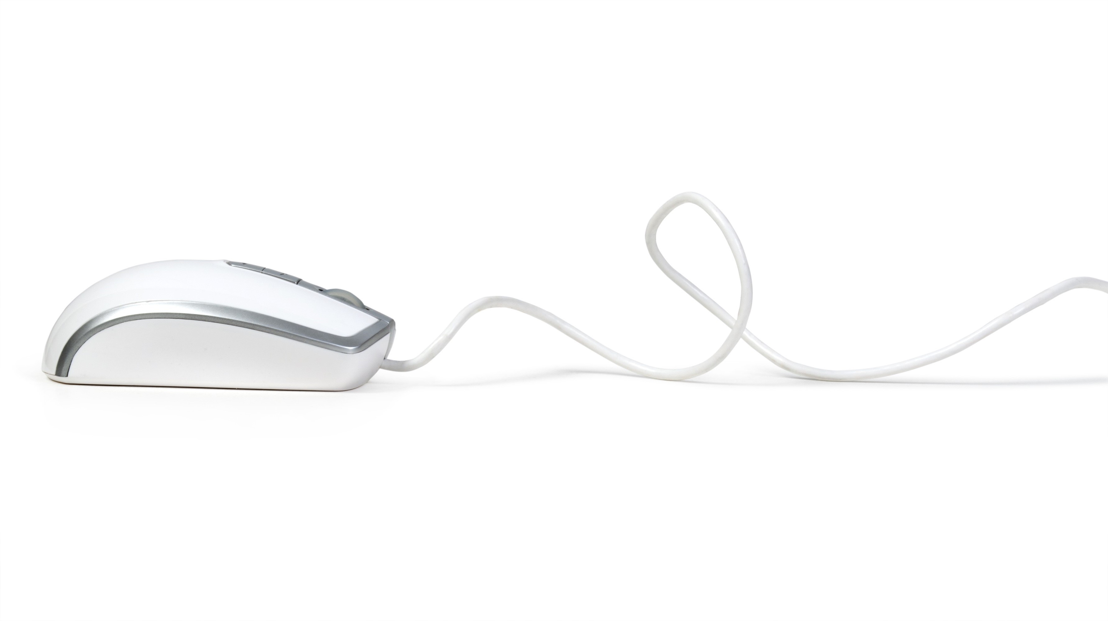 mouse-2-flipped.jpeg